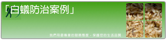 白蟻防治案例